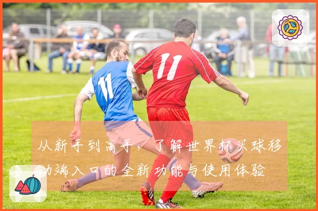 从新手到高手，了解世界杯买球移动端入口的全新功能与使用体验