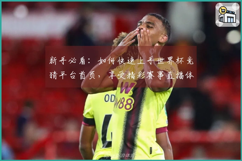 新手必看：如何快速上手世界杯竞猜平台首页，享受精彩赛事直播体验
