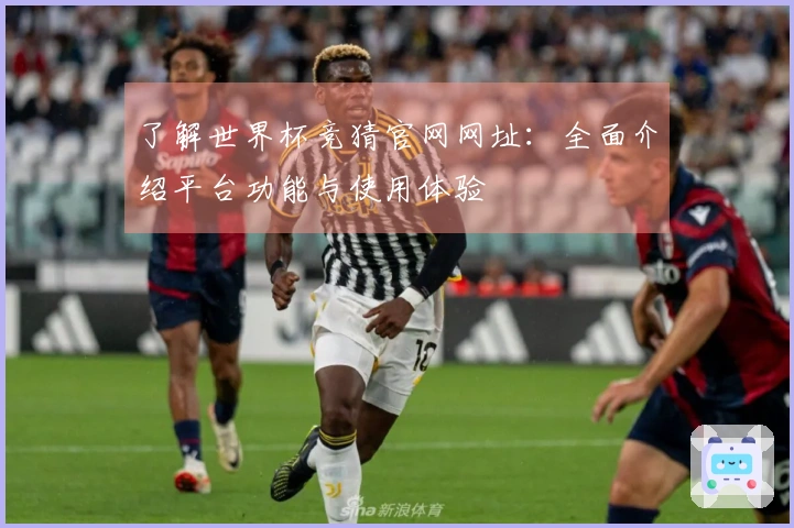 了解世界杯竞猜官网网址：全面介绍平台功能与使用体验