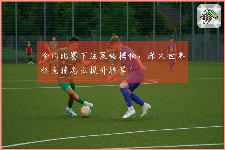 冷门比赛下注策略揭秘，烽火世界杯竞猜怎么提升胜算？
