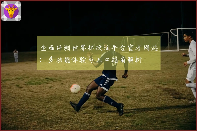 全面评测世界杯投注平台官方网站：多功能体验与入口指南解析