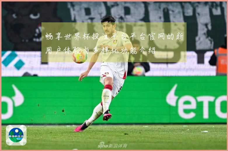 畅享世界杯投注平台平台官网的新用户体验与多样化功能介绍