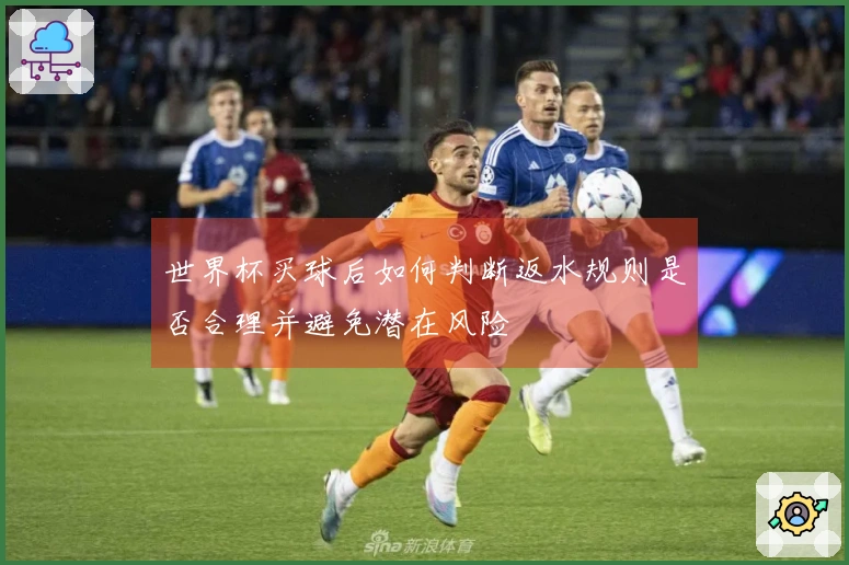 世界杯买球后如何判断返水规则是否合理并避免潜在风险