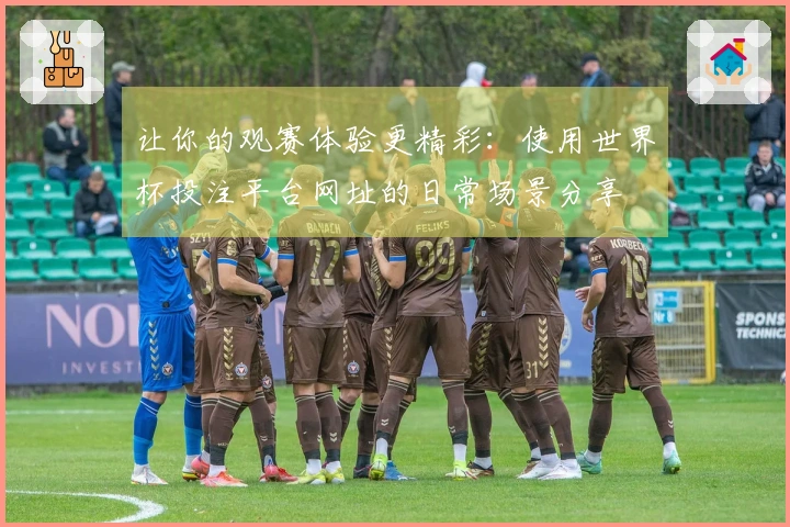 让你的观赛体验更精彩：使用世界杯投注平台网址的日常场景分享