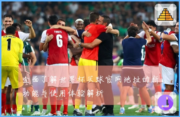 全面了解世界杯买球官网地址的新功能与使用体验解析