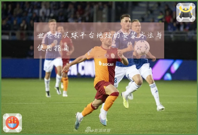 世界杯买球平台地址的安装方法与使用指南