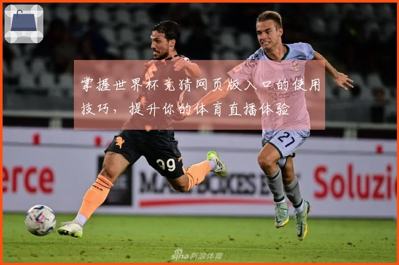 掌握世界杯竞猜网页版入口的使用技巧，提升你的体育直播体验