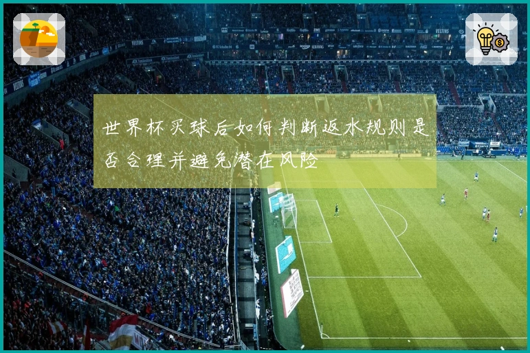 世界杯买球后如何判断返水规则是否合理并避免潜在风险