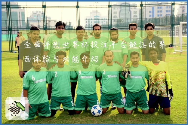 全面评测世界杯投注平台链接的界面体验与功能介绍