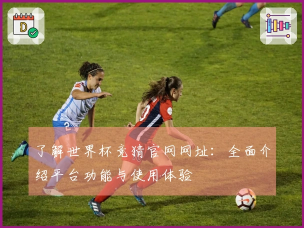 了解世界杯竞猜官网网址：全面介绍平台功能与使用体验