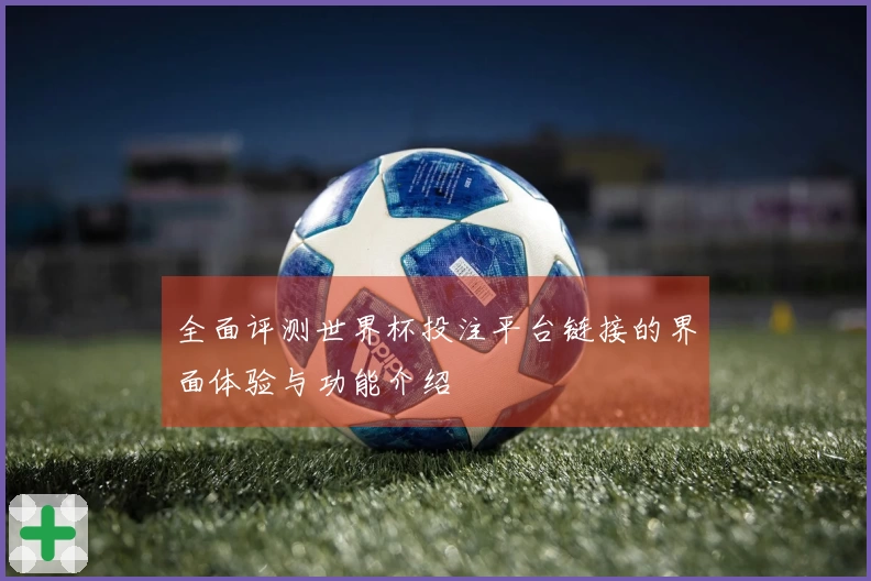 全面评测世界杯投注平台链接的界面体验与功能介绍