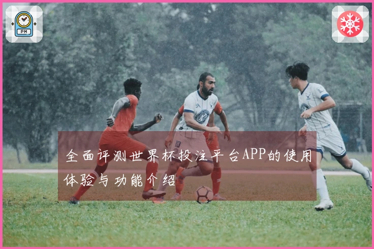 全面评测世界杯投注平台APP的使用体验与功能介绍