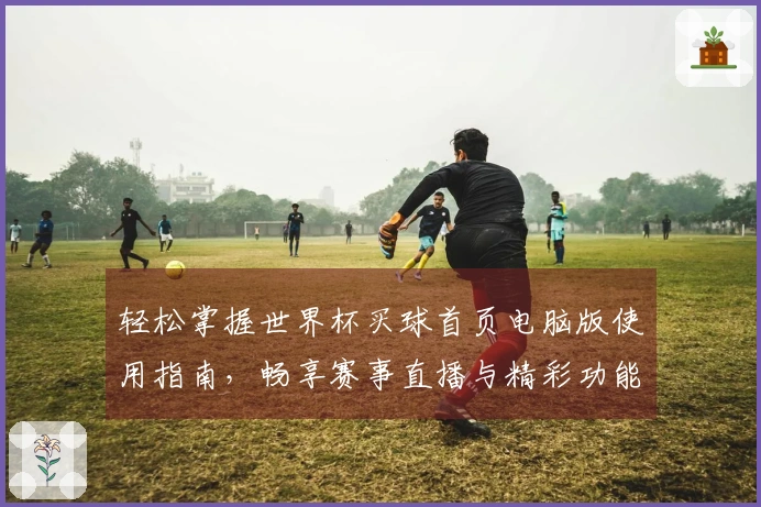 轻松掌握世界杯买球首页电脑版使用指南，畅享赛事直播与精彩功能