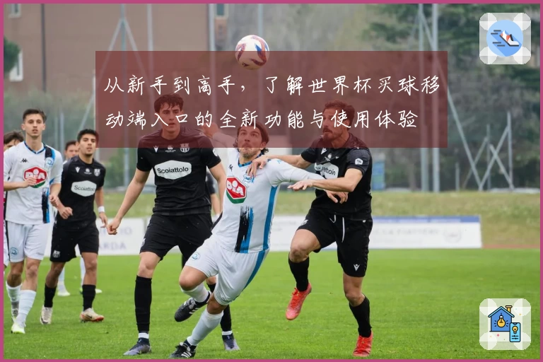 从新手到高手，了解世界杯买球移动端入口的全新功能与使用体验