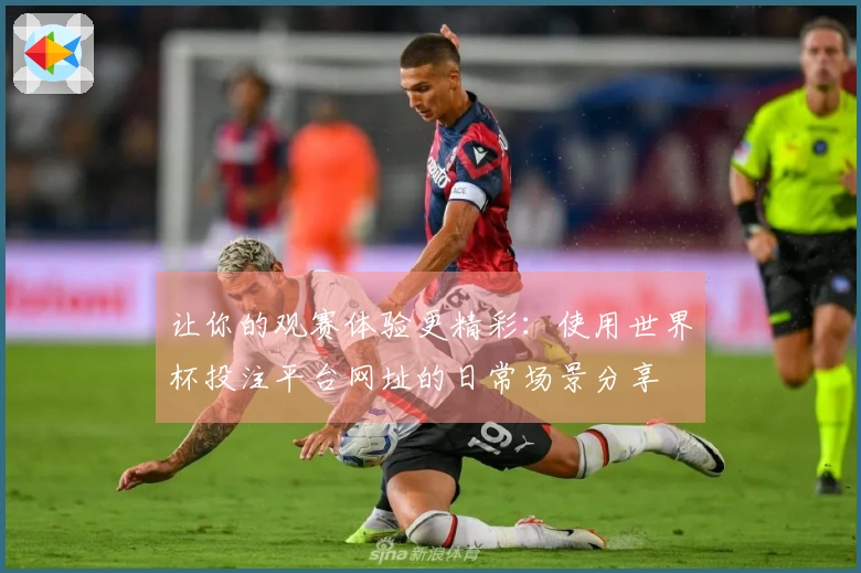 让你的观赛体验更精彩：使用世界杯投注平台网址的日常场景分享