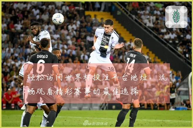 轻松访问世界杯投注平台地址，流畅观看精彩赛事的最佳选择